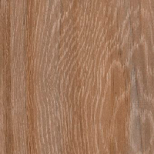 Arbol-Taupe-F1