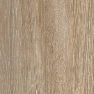 Arbol-Taupe-F9-rotated